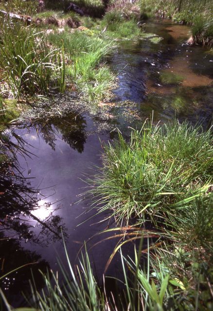 Indian Creek Picture