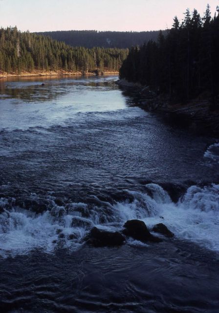 Yellowstone River Picture