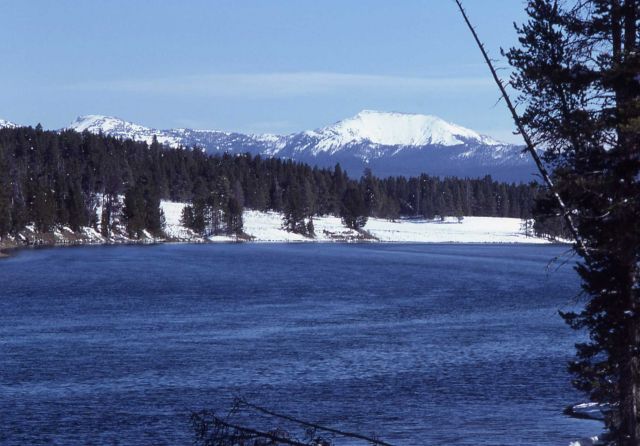 Yellowstone River with Avalanche Peak in the background Picture