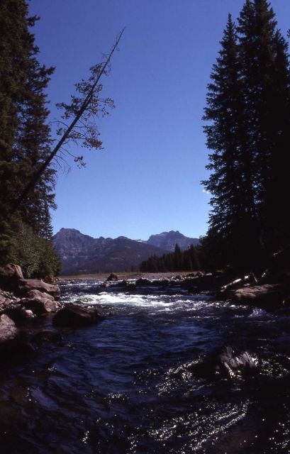 Soda Butte Creek Picture