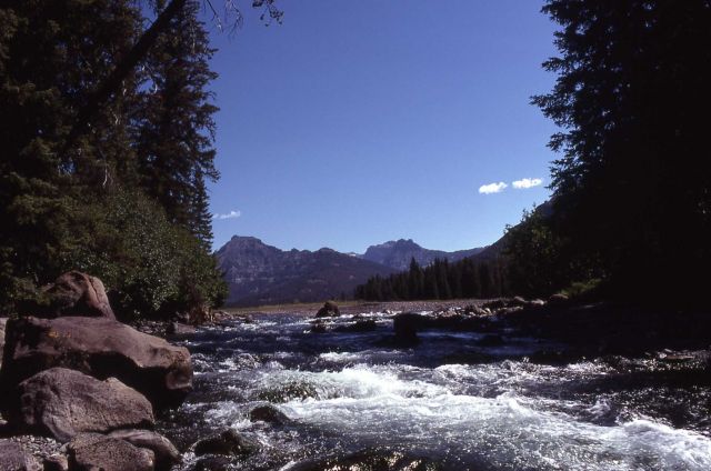 Soda Butte Creek Picture