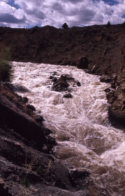 Gardner River with spring run off Picture