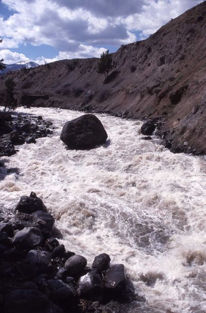 Gardner River Picture