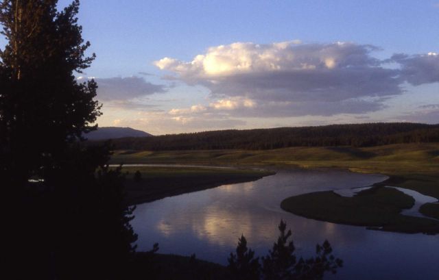 Yellowstone River in Hayden Valley Picture