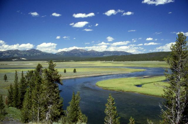 Yellowstone River in Hayden Valley Picture