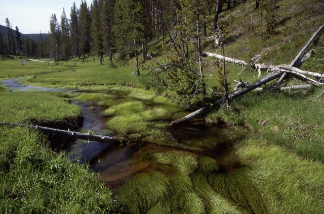 Obsidian Creek Picture