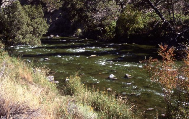 Gardiner River dyed green Picture
