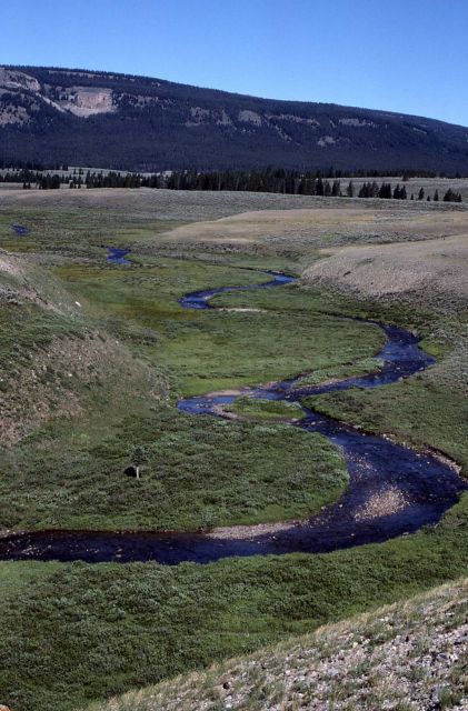 Gardner River at Gardiner Hole Picture