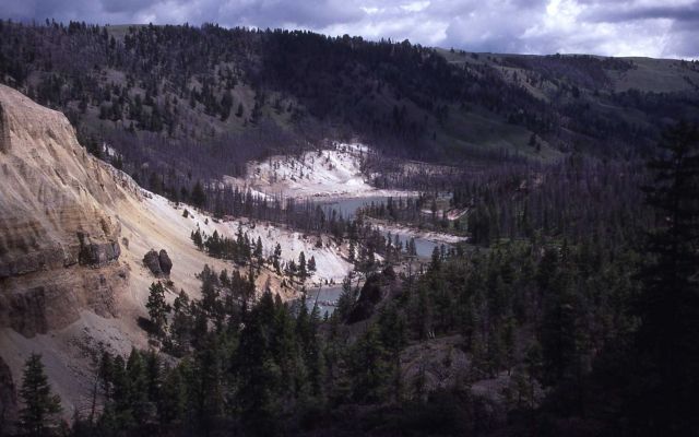 Yellowstone River at Bannock Ford near Tower Falls Picture