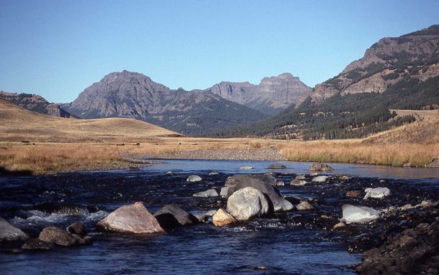 Soda Butte Creek as seen from Lamar River trail foot bridge Picture