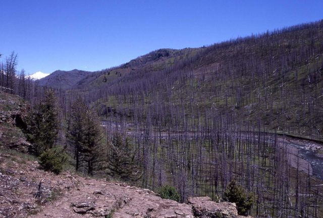 Cache Creek Picture