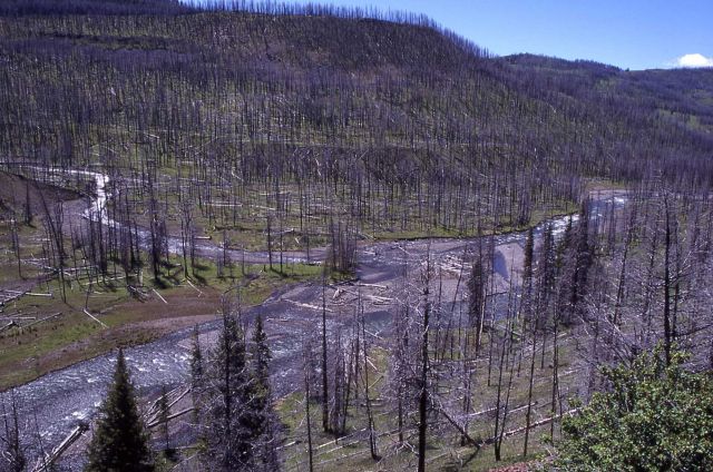 Cache Creek Picture