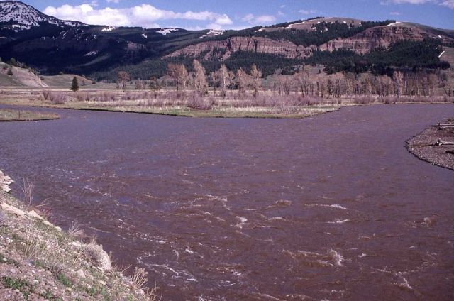 Lamar River at confluence with Soda Butte Creek Picture