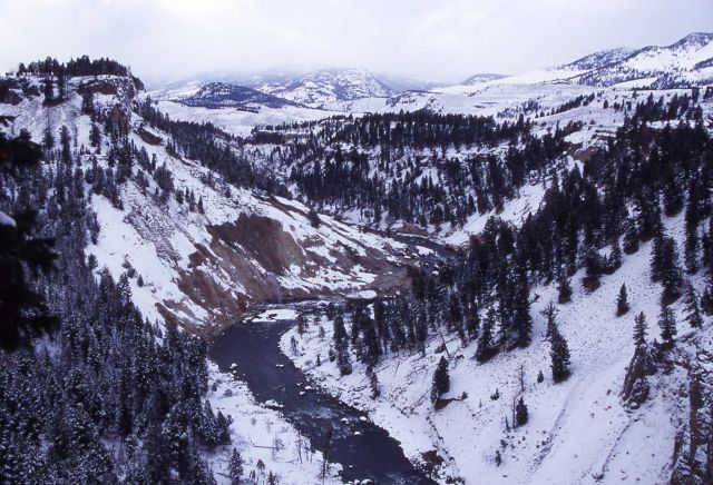 Winter view of Yellowstone River from Calcite Springs overlook Picture