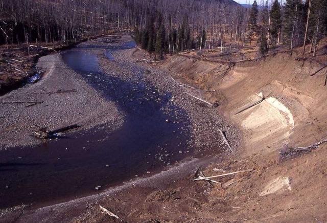 Erosion along the Lamar River Picture