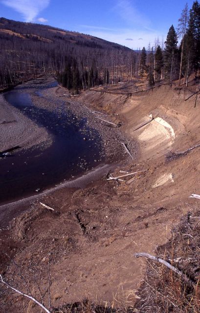 Erosion along the Lamar River Picture