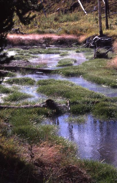 Obsidian Creek Picture