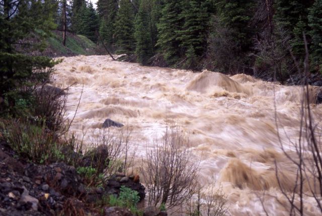 Soda Butte Creek with high run off Picture