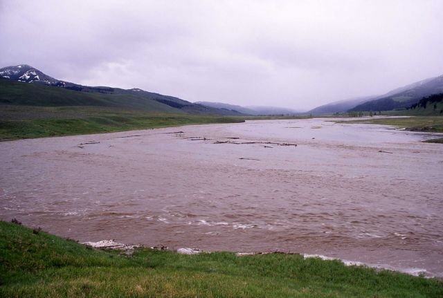 Lamar River during high run off Picture
