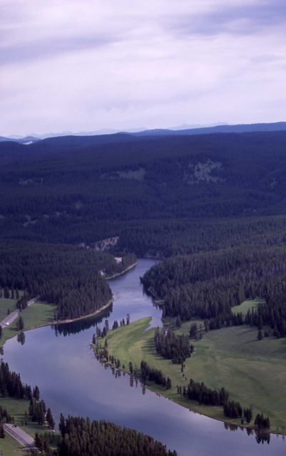 Aerial view of Yellowstone River at LeHardy Rapids Picture
