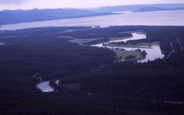Aerial view of Yellowstone River at LeHardy Rapids Picture
