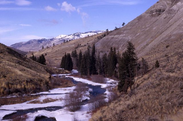 Gardner River at base of Mt Everts Picture