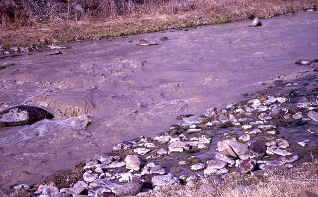 A muddy Gardner River Picture