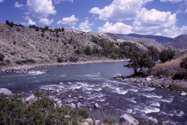 Confluence of Gardner River & Yellowstone River Picture