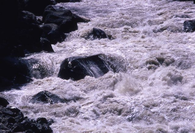 Lamar River at flood stage Picture