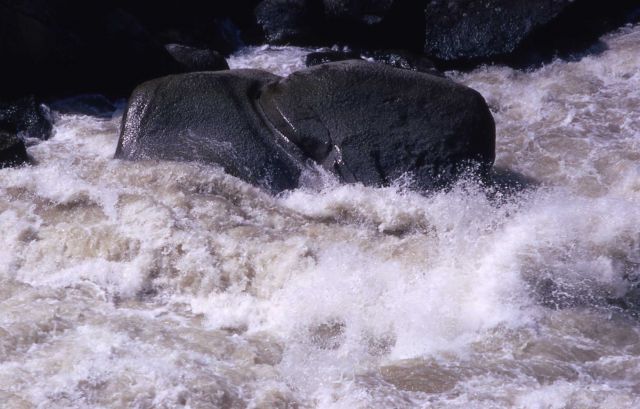 Lamar River at flood stage Picture