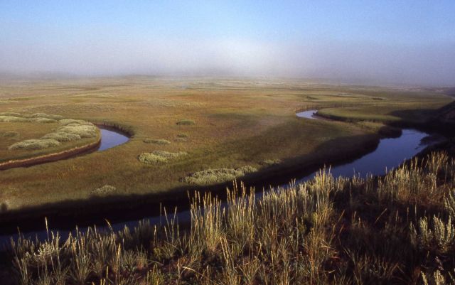 Trout Creek in Hayden Valley Picture
