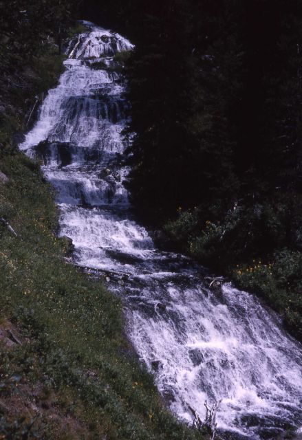 Silver Scarf Falls Picture