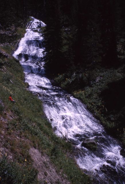 Silver Scarf Falls Picture