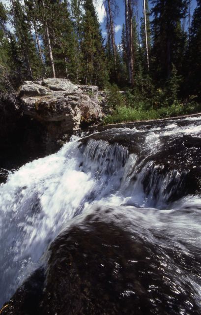 Moose Falls Picture