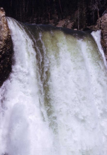 Brink of the Lower Falls Picture