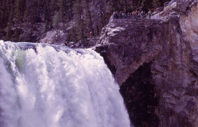 Brink of the Lower Falls Picture