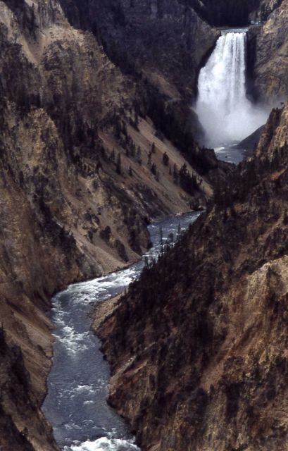 Lower Falls Picture