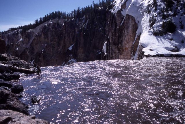 Yellowstone River 15 yards from the brink of the Lower Falls Picture
