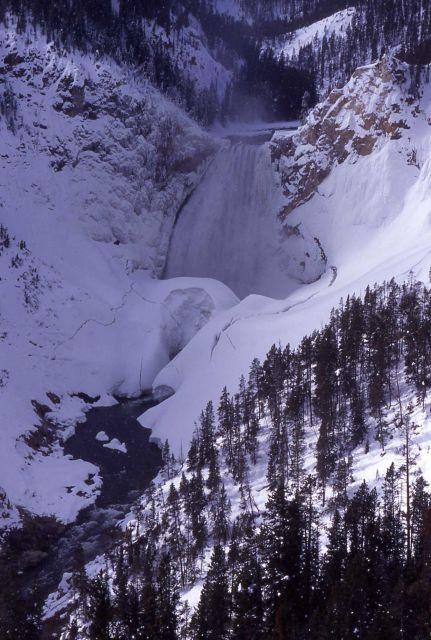 Lower Falls with a huge snow bridge in front Picture