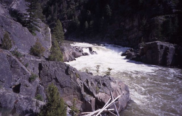 Knowles Falls on the Yellowstone River in Black Canyon Picture