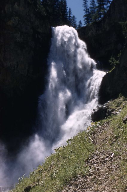 Osprey Falls Picture
