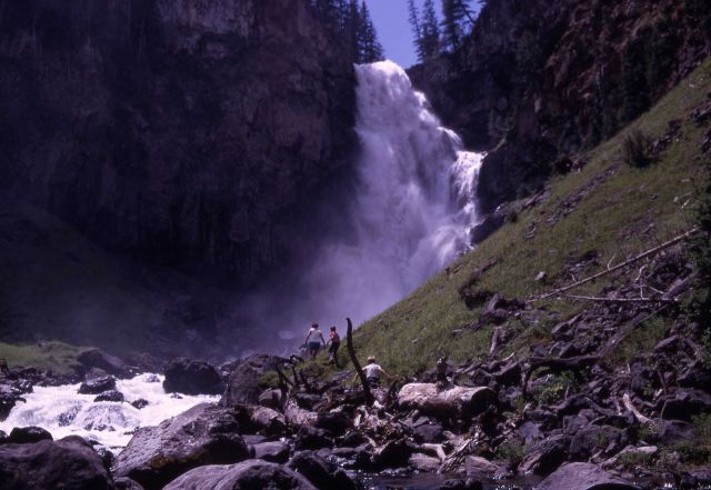 Osprey Falls Picture