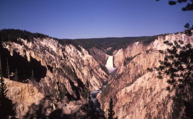 Lower Falls as seen from Artist Point Picture