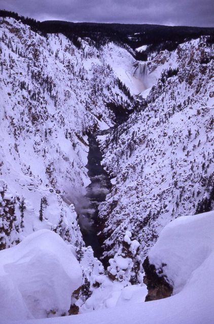 Lower Falls & the Grand Canyon of Yellowstone in the winter Picture