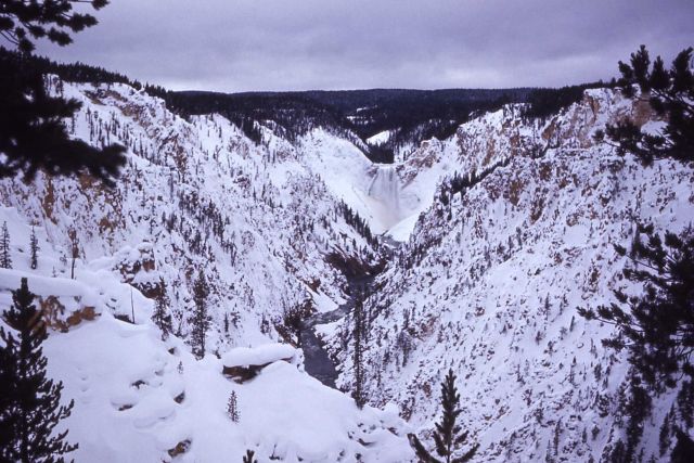 Lower Falls & the Grand Canyon of Yellowstone in the winter Picture