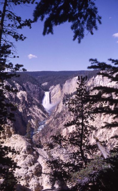 Lower Falls Picture