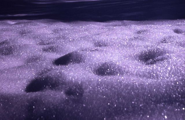 Ice crystals on snow surface Picture