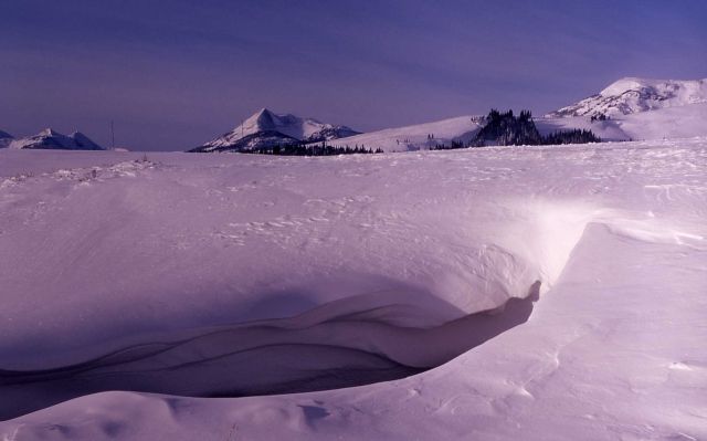 Culvert along Swan Lake Flats Picture