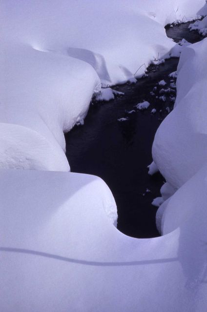Snow along Myriad Creek Picture