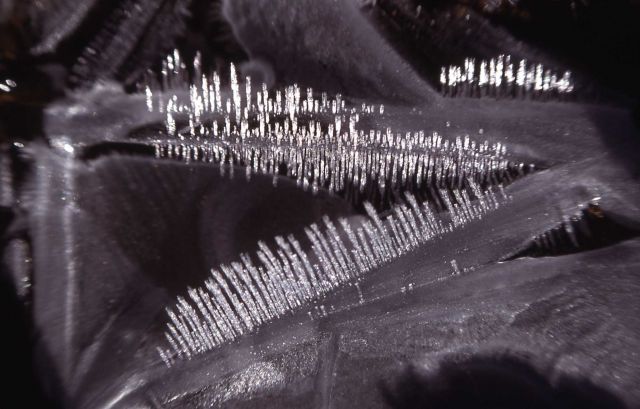 Frost crystals Picture